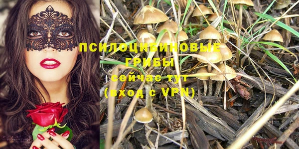 PSILOCYBIN Волосово